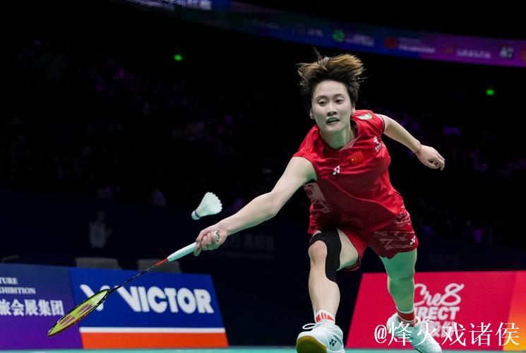 羽毛球世锦赛女单决赛 陈雨菲带伤作战惜获亚军